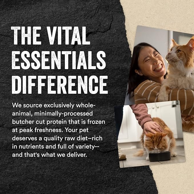 Vital Essentials Chicken Breast Cat Treats, 1 oz | Freeze-Dried Raw | Single Ingredient | Grain Free, Gluten Free, Filler Free