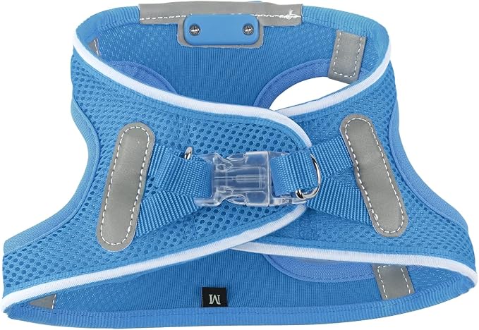 Light Up Dog Harness,Rechargeable LED Dog Harness for Small Medium Large Dogs,Reflective Lighted Safety Vest for Night Walking & Camping,Lightweight & Adjustable,Sky Blue,L