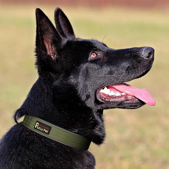 Plutus Pet Tactical Dog Collar, Reflective, Adjustable Heavy Duty Dog Collar, Soft Padded and Comfortable, for Small Medium and Large Dogs (Ranger Green, XL)