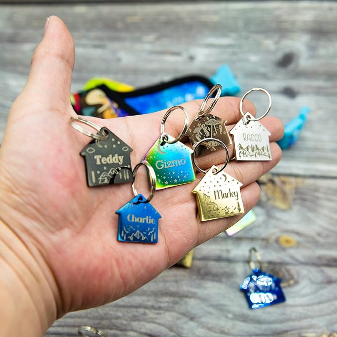 Personalized Dog Tag with 5 Lines of Custom Deep Engraved Durable Stainless Steel Pet ID Name Tag Designer Regular Size House