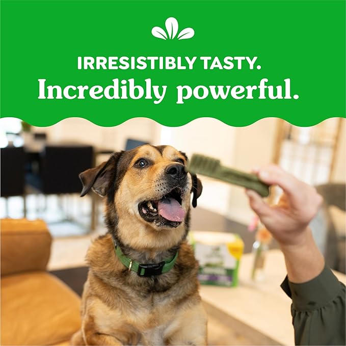 Greenies Original Large Dental Dog Treats, 12 oz. Pack (8 Treats)