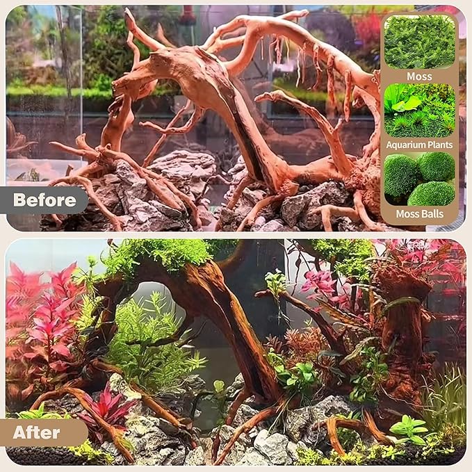 WDEFUN Natural Spiderwood for Aquarium Decor 2-Piece 11''-14'' Long Natural Driftwood Branches for Fish Tank Decorations
