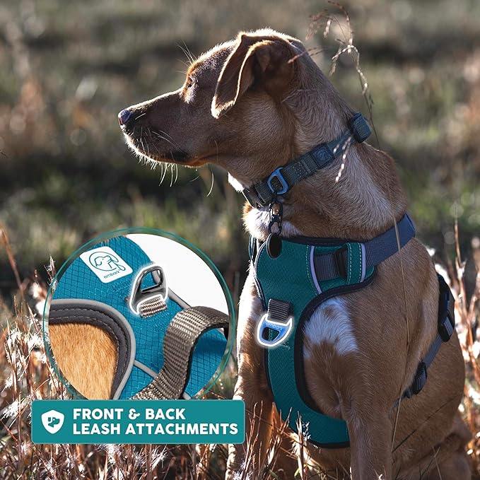 Embark Adventure Dog Harness, Reflective Trim No Pull Dog Harness Medium Sized Dogs - Military Grade Nylon, Front Clip with Gel Lined Handle.