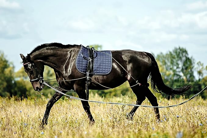 Soft Padded Lunge Line Rein Lead for Horses 27ft Looped Handle Swivel Clip (Brown/Beige)
