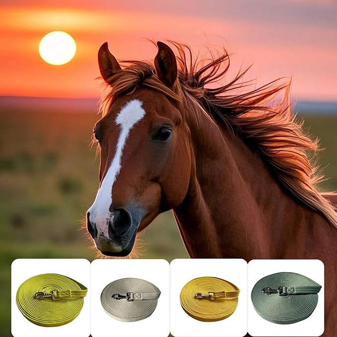Horse Training Lunge Line with Alloy Trigger Buckle for Accurate Equestrian Training of 32.8 ft(10 Meters)
