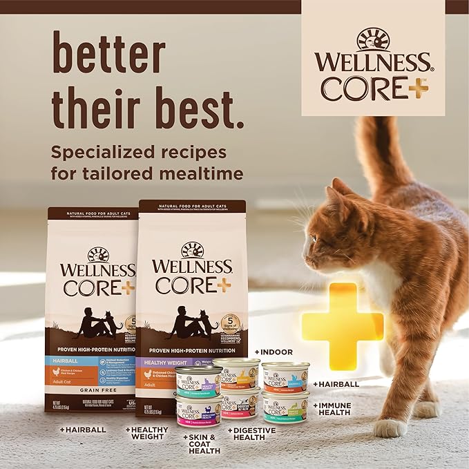 Wellness CORE+ Digestive Health Pate Adult Wet Cat Food, Natural, Protein-Rich, Grain Free, 3 Ounce, 12 Pack (Salmon)