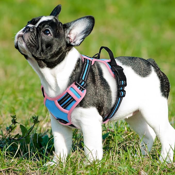 Eagloo Dog Harness Small Sized Dog, No Pull Service Vest with Reflective Strips and Control Handle, Adjustable and Comfortable for Walking, No Choke Pet Harness with 2 Metal Rings, Pink & Blue, S