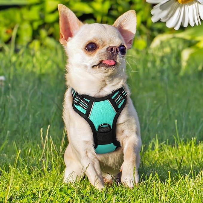 rabbitgoo Dog Harness No Pull with 2 Leash Clips, Adjustable Soft Padded, Reflective Oxford No Choke Pet Vest with Easy Control Handle for Puppy, Turquoise, XS