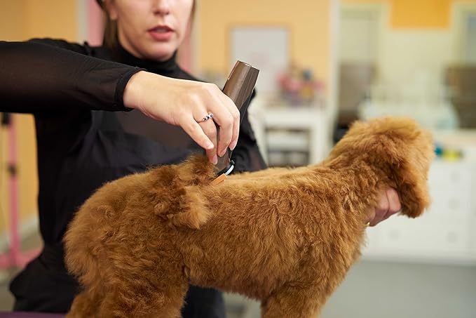 WAHL Professional Animal Bravura Lithium Ion Clipper - Pet, Dog, Cat, and Horse Corded/Cordless Clipper Kit, Gunmetal (41870-0425)