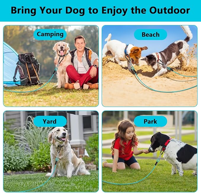 Dog Tie Out Cable 10FT-500Lbs,Heavy Duty Dog Leads&Tether for Yard with Swivel Hook,Small Large Dogs Leash Line for Outside,Rust Chew Proof Dogs Run Cable for Outdoor Camping(Teal, 10FT)