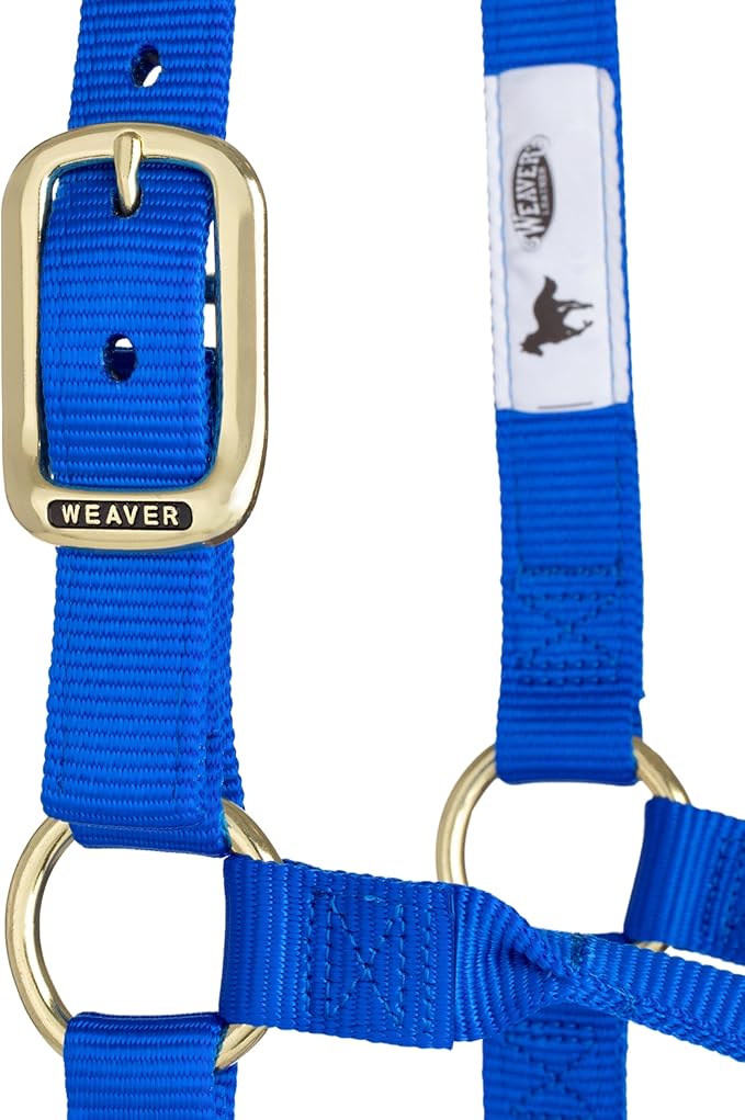 Weaver Equine Nylon Horse Halter, Triple-Ply Cheek Design, Original Non Adjustable Halters for Horses, Equine Tack,Average Size, Black