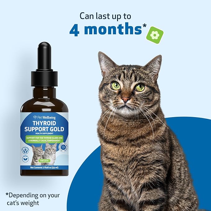 Pet Wellbeing Thyroid Support Gold for Cats - Supports Healthy Thyroid Gland Function in Cats, Normal Metabolism, Bugleweed, Lemon Balm - Veterinarian-Formulated Herbal Supplement 2 fl oz (59 ml)