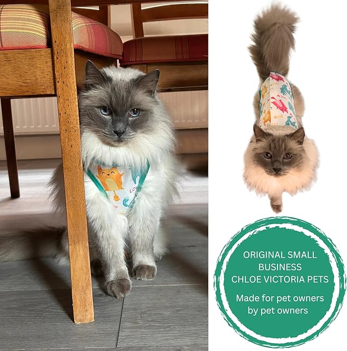Cat Recovery Suit Surgical Onesie for Post Surgery/Neuter/Spay. Protection for Wounds and Skin infections for Male/Female Cats. Comfortable, Safe, (no Loose Cords) Cone Alternative (X-Large)