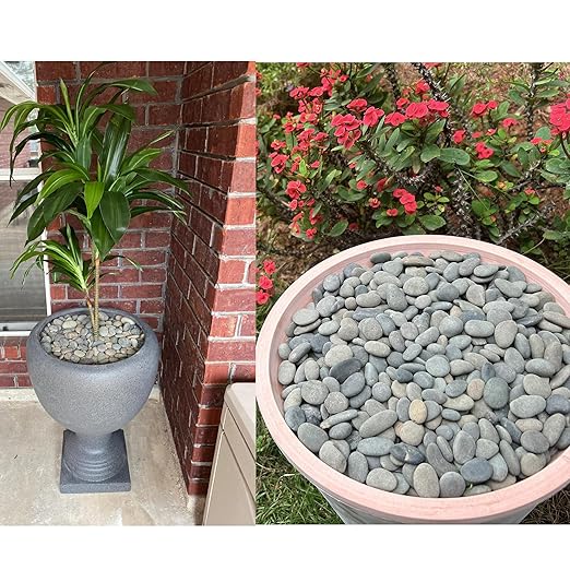 2.4LB River Rocks Mexican Beach Pebbles for Garden Landscape Stone Paving Stone Grey (1Inch)