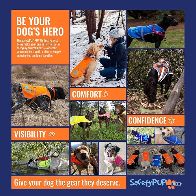 Dog Reflective Vest – Hi-Vis Fluorescent Visibility That Helps to Safeguard Your Pet On/Off Leash in Urban & Rural Areas (Blue, X-Small)