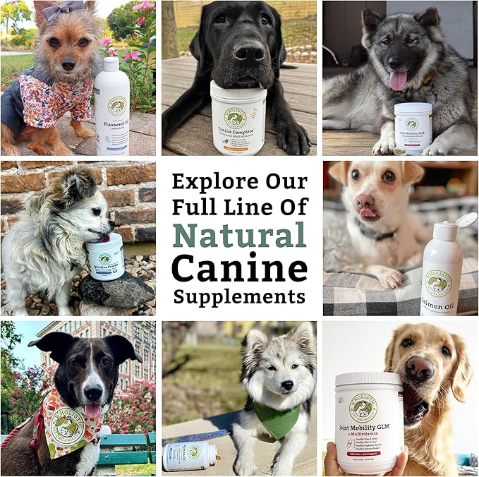 Wholistic Pet Organics Canine Complete - Dog Multivitamin Powder - 1 Lb - Daily Dog Vitamins and Supplements for Homemade Food - Immune System, Skin, Coat & Overall Health - Small and Large Breed