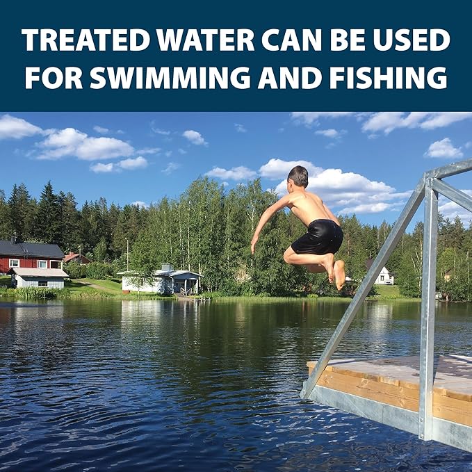 Airmax Nature's Blue Pond Dye 4X Concentrate for Outdoor Ponds & Lakes, Natural Pond Colorant & Beauty Enhancer, Block Ultraviolet Rays, Fish, Bird & Livestock Safe, Easy Liquid Application, 1 Quart