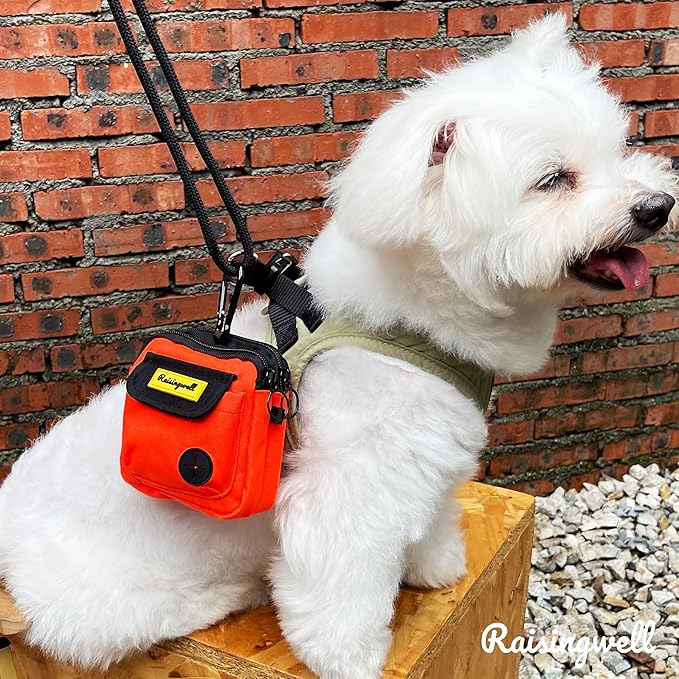 Dog Treat Pouch for Pet Walking and Training with Clicker Poop Bags, and Three Bags Design Small Fanny Zipper Pack Holder for Puppy Snack Dispenser Kit for Leash and Outdoor Use (Orange)