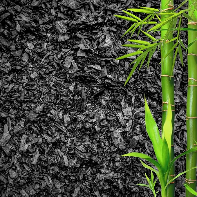 Horticultural Charcoal for Plants โ Organic Bio Char Soil Amendment for Terrariums, Indoor Plants & Gardening, Made in USA (3 quarts)
