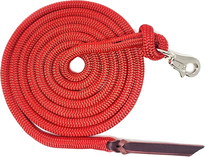 12FT Lead Rope with NP Snap