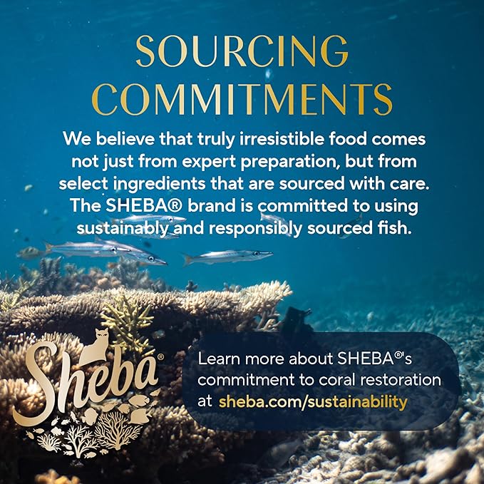 Sheba Perfect Portions Wet Cat Food Pate Savory Chicken Entree, Tender Beef Entree, and Tender Whitefish and Tuna Entree, 2.6 oz. Twin-Pack Trays (36 Count, 72 Servings)
