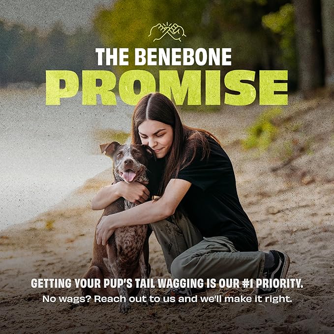 Benebone 4-Pack Rubber Ball