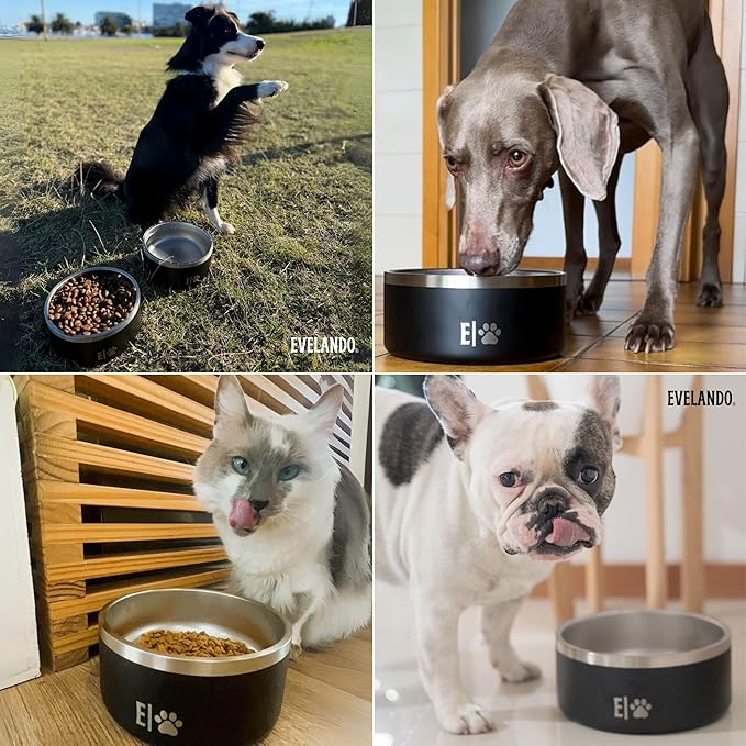 EVELANDO® Premium Dog Food Bowl 32 oz Stainless Steel 4 Cups Small Medium Dog Bowls Non Slip & BPA-Free S M L Pet Water Bowl Platos para Perros Indoor Outdoor Pet Dish Feeder Water and Food Dish