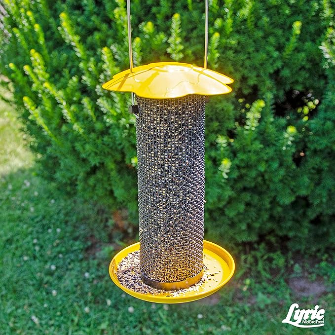 Lyric Finch - Small Songbird Wild Bird Seed - Attracts Goldfinches, House Finches, Purple Finches & More - 20 lb. bag