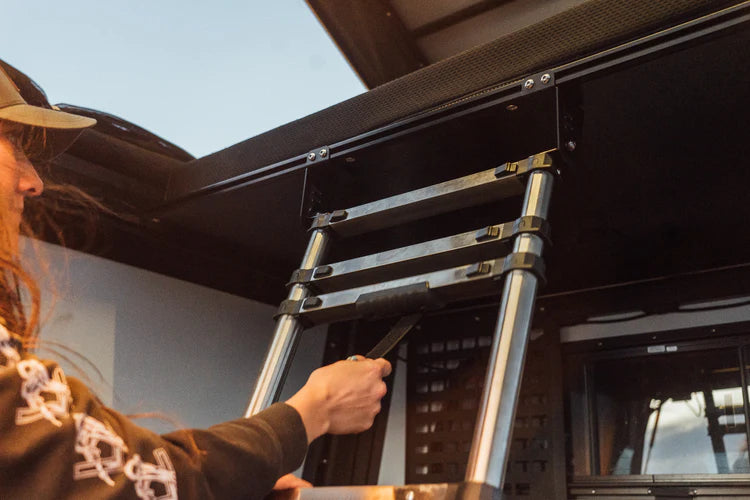 Bed Ladder