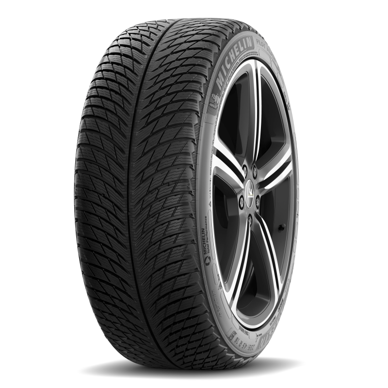 Michelin Pilot Alpin 5 315/30R21 105V XL