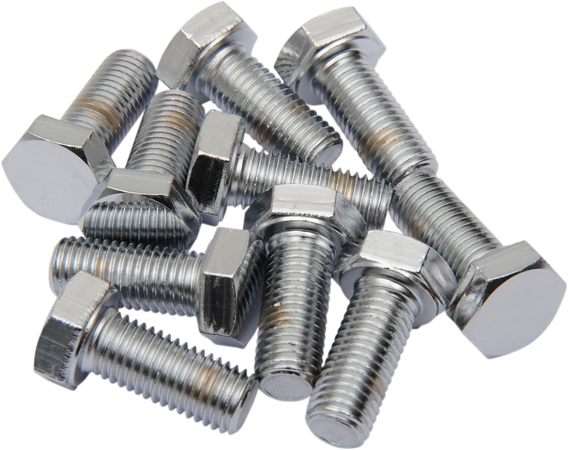 DRAG SPECIALTIES MPB146 Fine Thread Hex Head Bolts, 5/16"-24 x 5/8" - 10 Pack