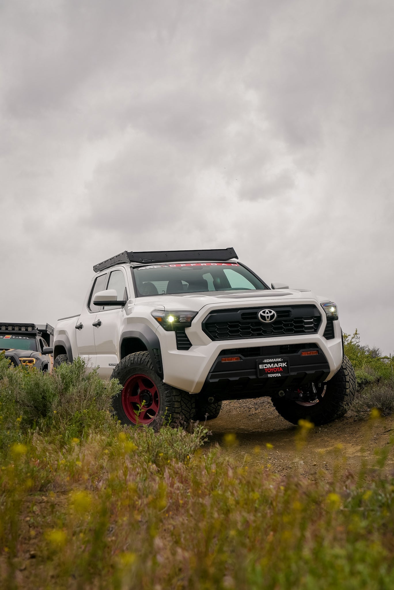 2024+Tacoma/2025+ 4Runner Fog Light Overlay
