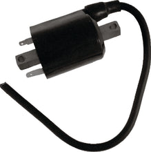 Load image into Gallery viewer, Photo - Primary