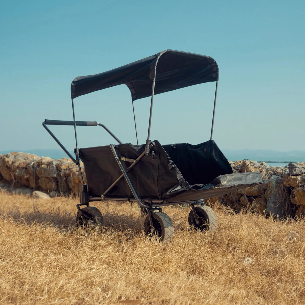 Dog Wagon for Large Dogs