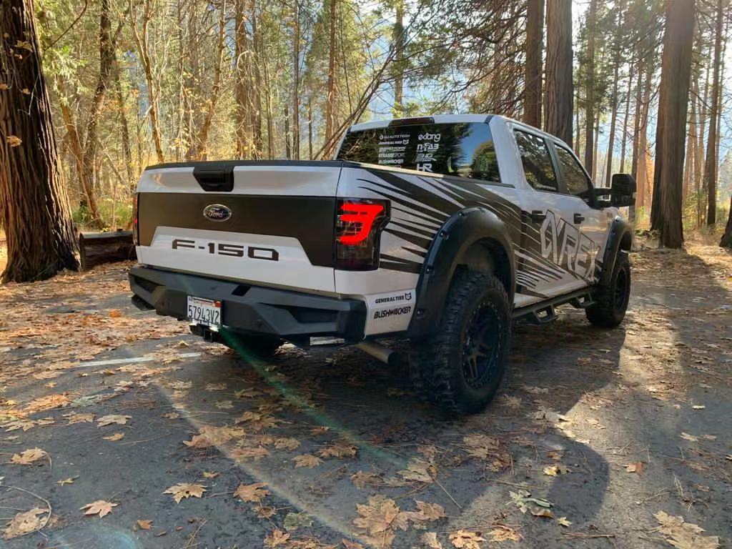AlphaRex 15-20 Ford F150 PRO-Series LED Tail Lights Jet Black