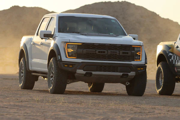AlphaRex 21-23 Ford F150 / 21-23 Ford F150 Raptor NOVA-Series LED Projector Headlights Black