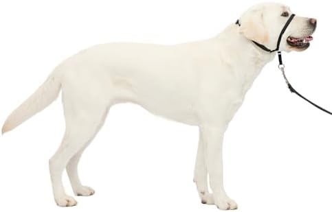 PetSafe Gentle Leader No Pull Dog Headcollar