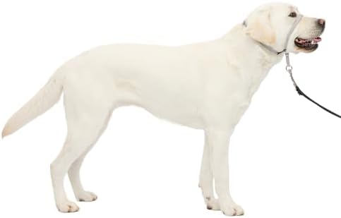 PetSafe Gentle Leader No Pull Dog Headcollar