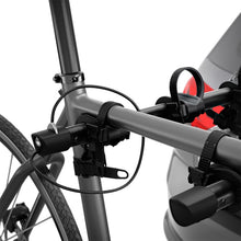 Load image into Gallery viewer, Photo - Mounted