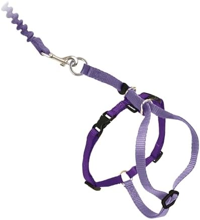 PetSafe Come With Me Kitty Harness and Bungee Leash, Harness