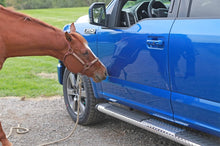 Load image into Gallery viewer, Photo - Mounted