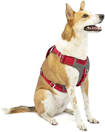 Kurgo Journey Air Dog Harness