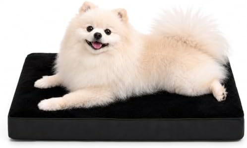 NUPIDA Waterproof Small Dog Bed
