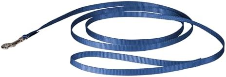 PetSafe Nylon Dog Leash