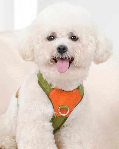 Green Small Dog Harness for Small Dogs, No Pull Dog Harness