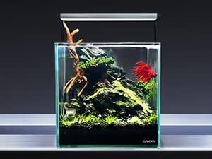 LANDEN Dark SEIRYU Stones Natural Rocks(17lbs, 3~11 inches,7-8pcs) for Aquarium, Paludarium, Terrariums, Landscaping Rocks, Decorative Aquarium Rocks