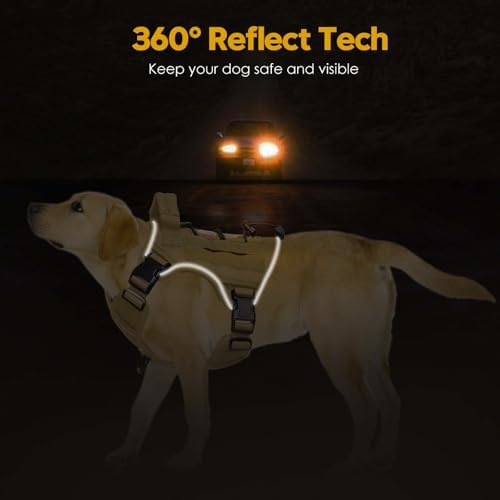 Heavy-Duty Tactical Dog Harness