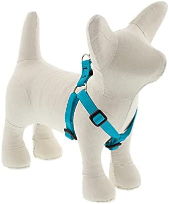 Lupine Extra Small Adjustable Step in Dog Harness 1/2" Wide Aqua