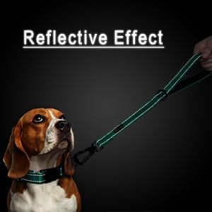 PLUTUS PET Short Training Dog Leash with Padded Handle for Medium Large Dogs,18 Inch Heavy Duty Strong Traffic Leash with Carabiner Clip for Climbing Walking or Guiding Blind(18”，Teal)