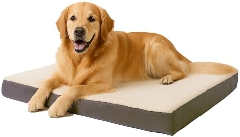 Orthopedic Dog Bed
